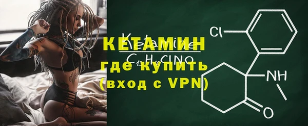 индика Осинники