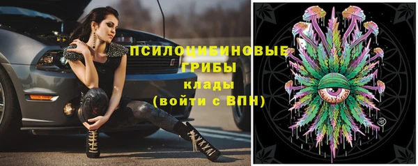 трава Алзамай