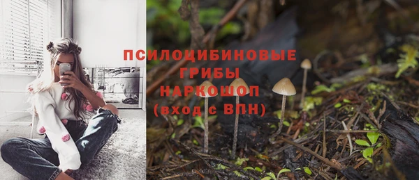 хмурый Алексеевка