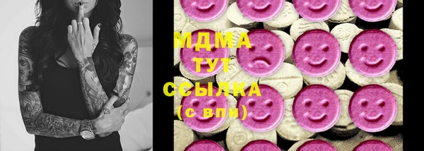 индика Осинники