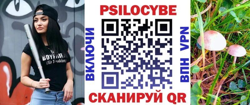 Галлюциногенные грибы Psilocybine cubensis  Белебей 